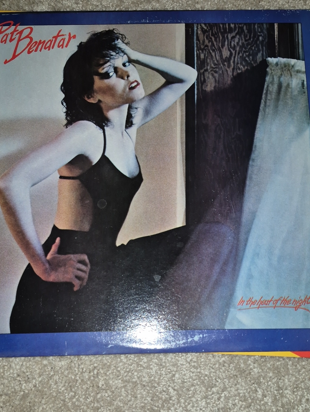 Vinyl record